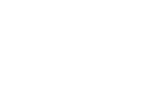 Sales Force
